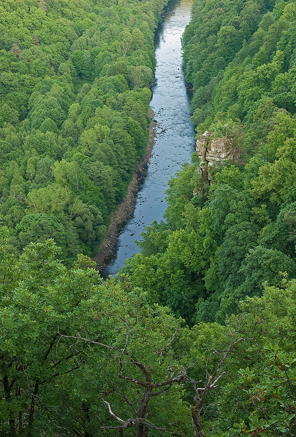 Thaya Valley at Dusk