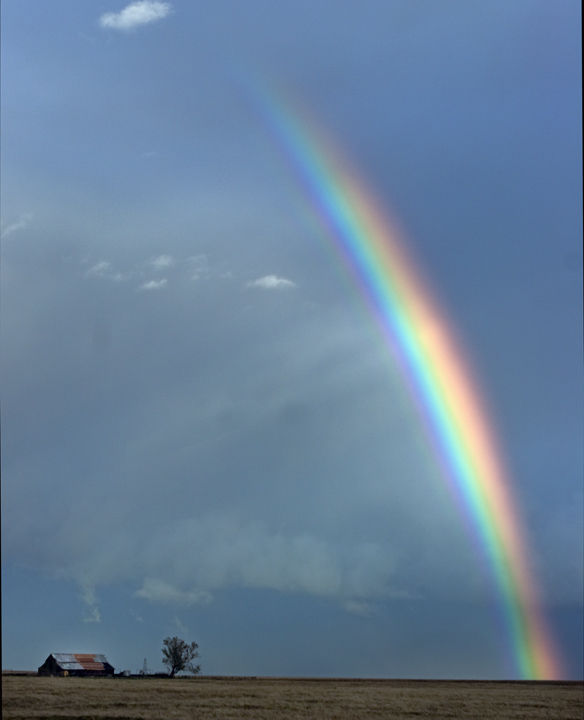 Prairie Rainbow
