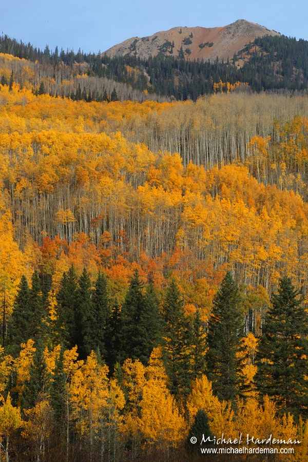 This morning in Aspen