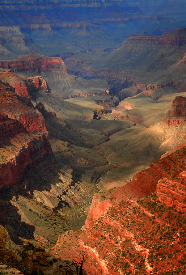 Canyons in Canyons