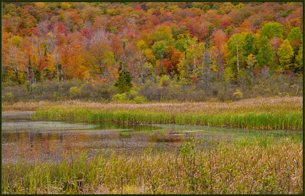 Autumn in Vermont