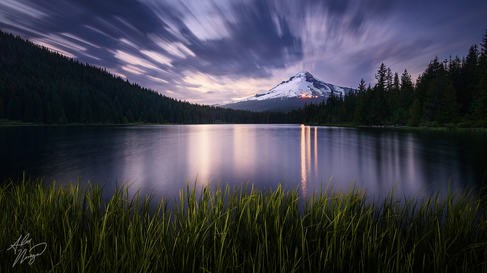Summer Dusk