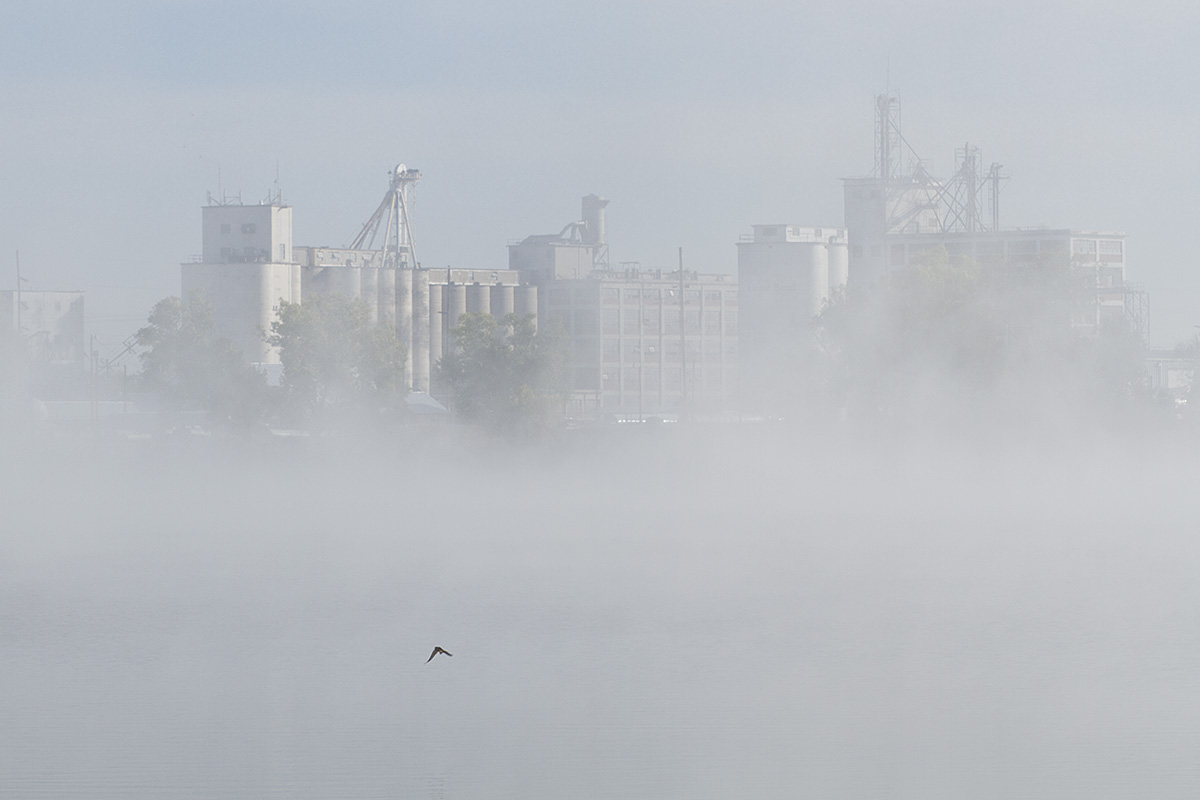 Foggy castles