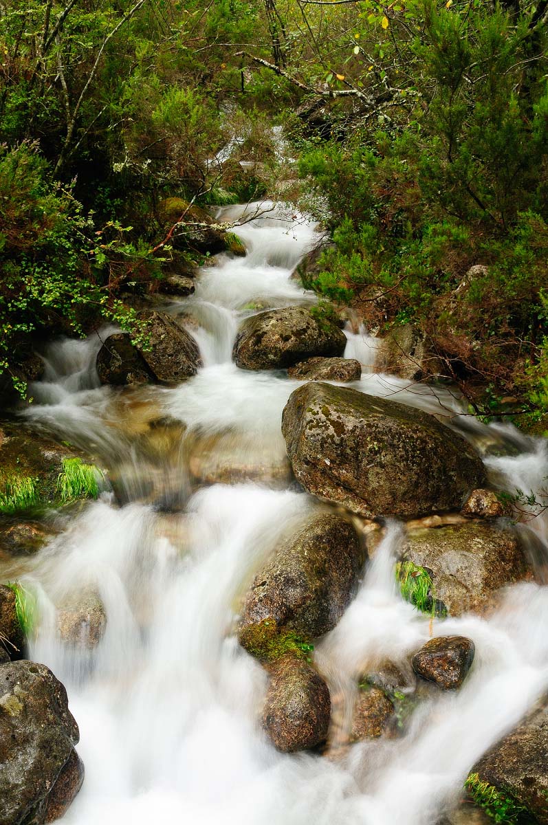 Dream Stream