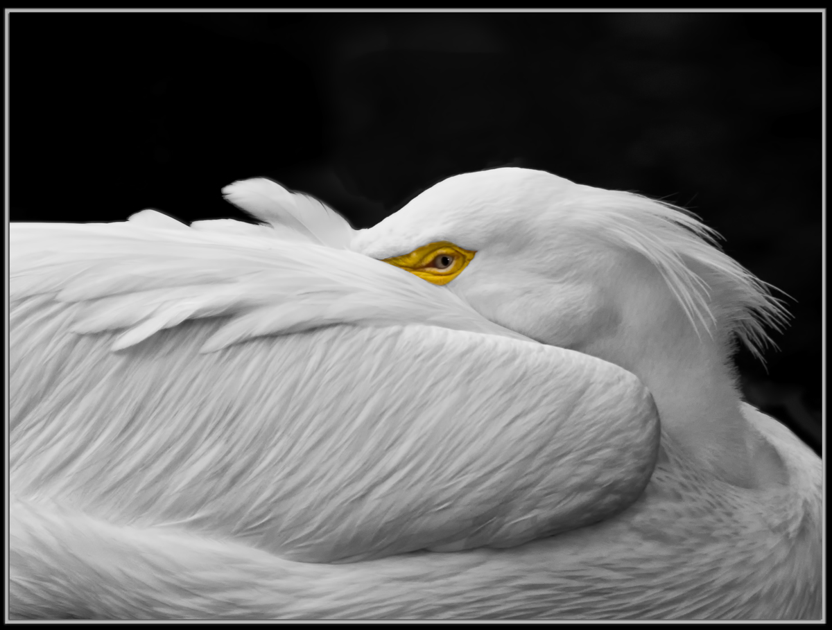 Watchin' You