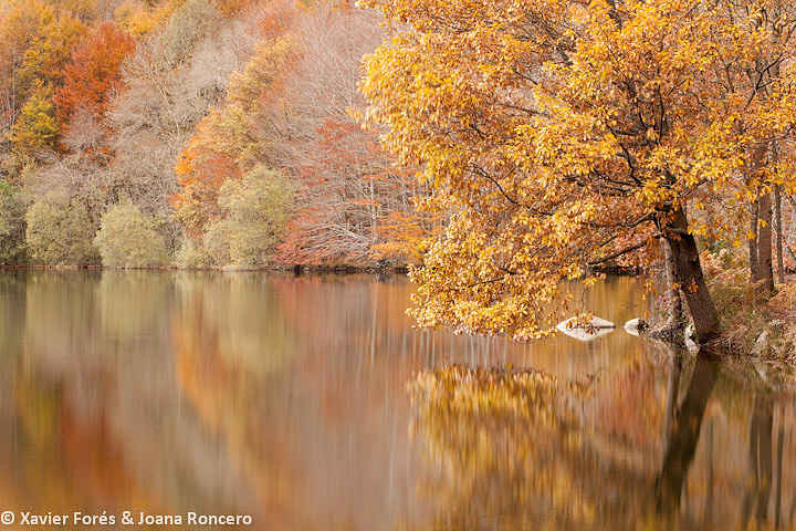 Fall is coming!!!