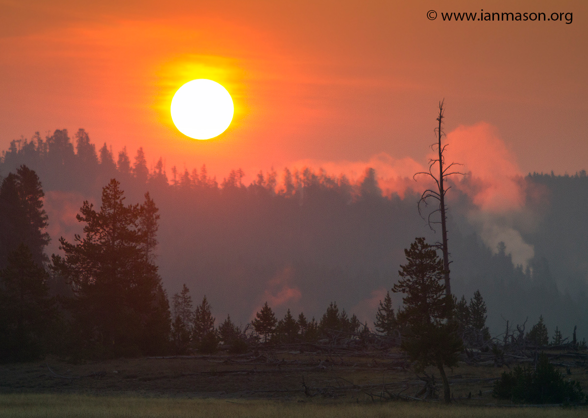 Yellowstone Sunrise