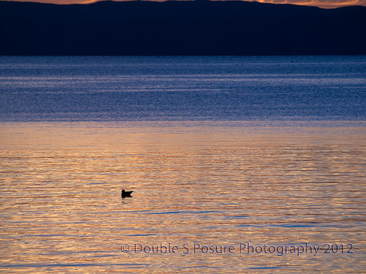 Sunset in Blue