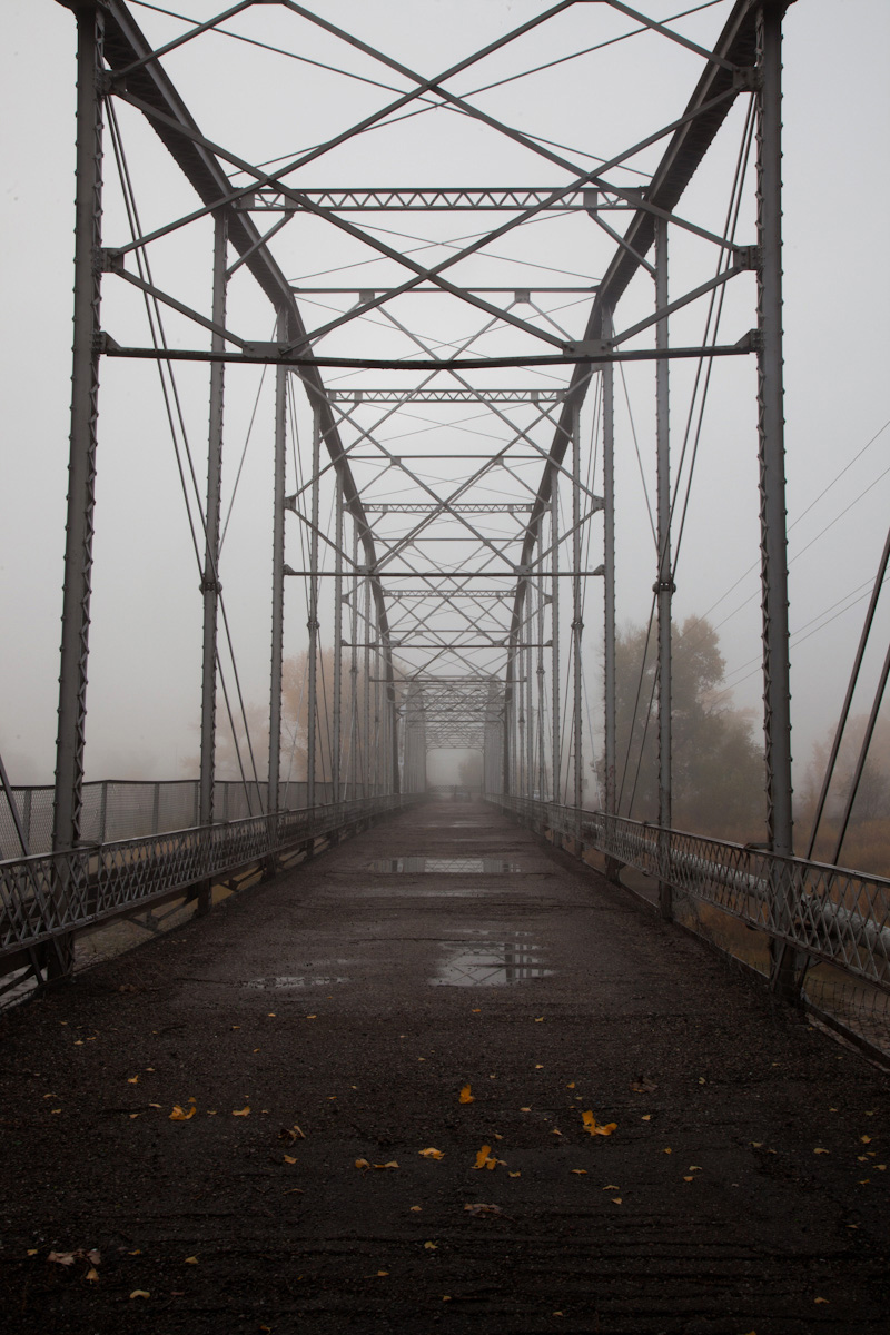 Foggy morning