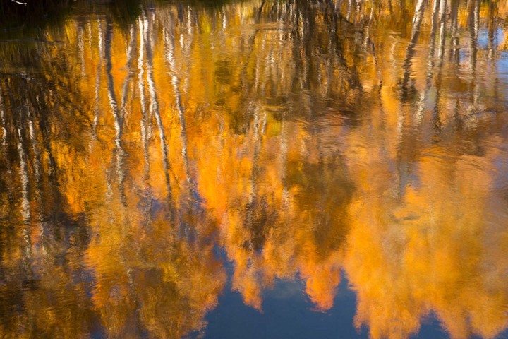 Fall reflections
