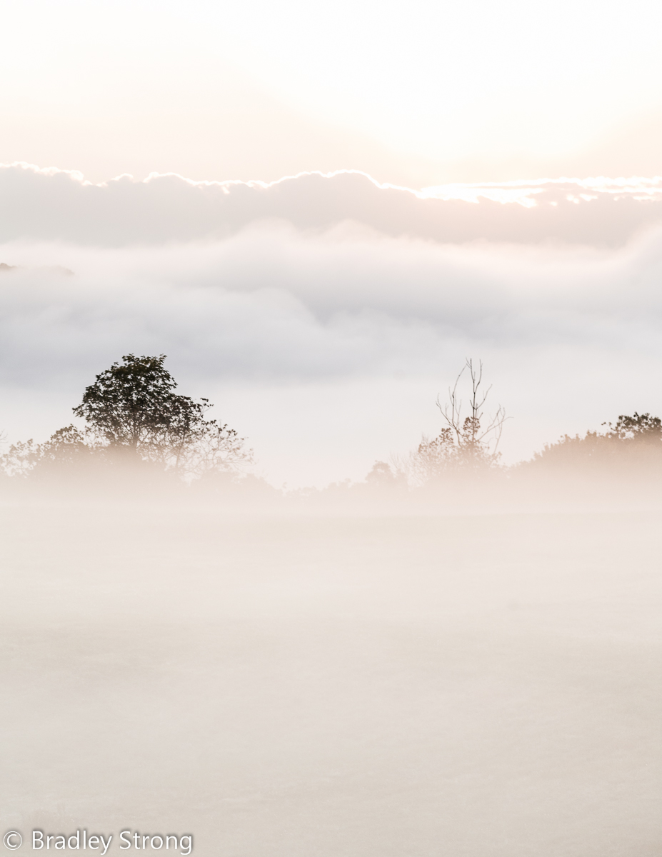 Walking on Clouds