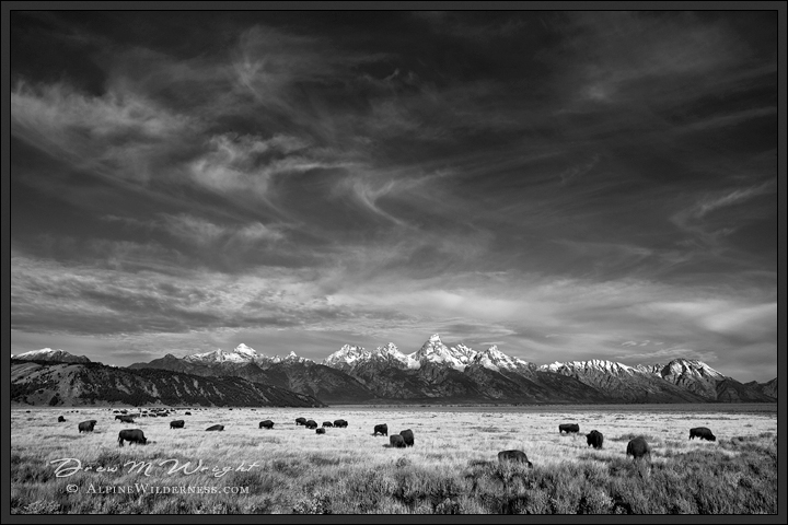 Bison Flats