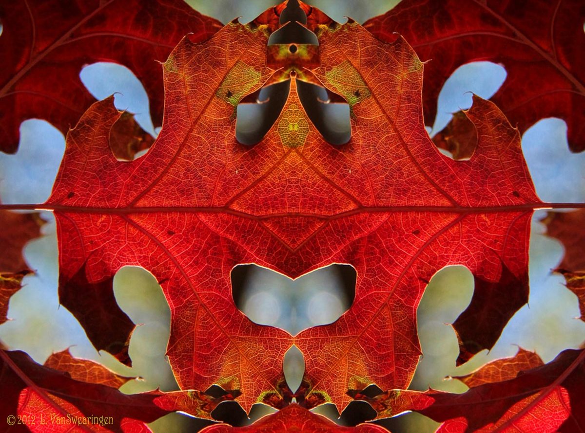 Fall Heart