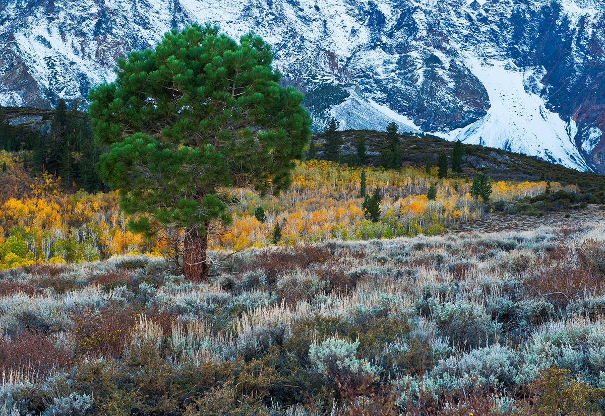 Fall Below Mt. Wood