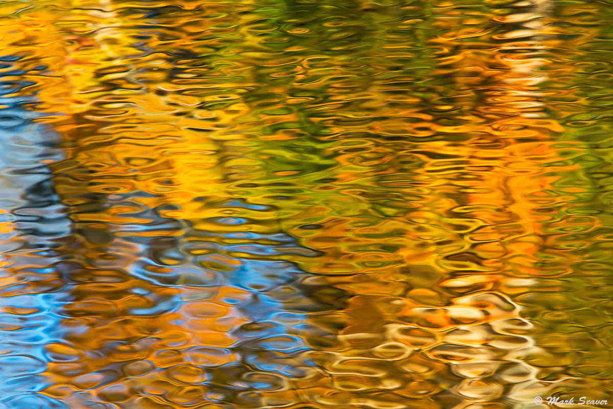 Potomac Reflection #1