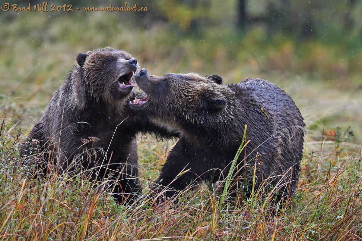 Motherly Love?