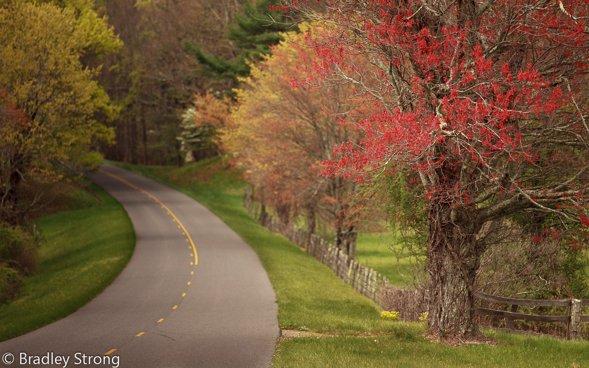 Spring Drive