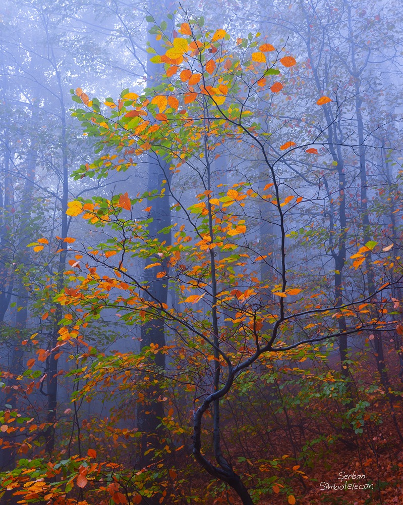 Sound of colors - Repost
