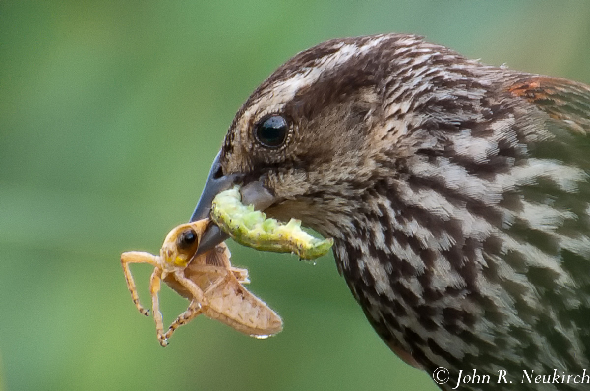 Lunch time!
