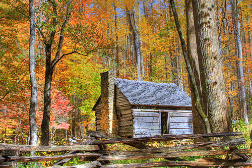 Serenity in Cades Cove