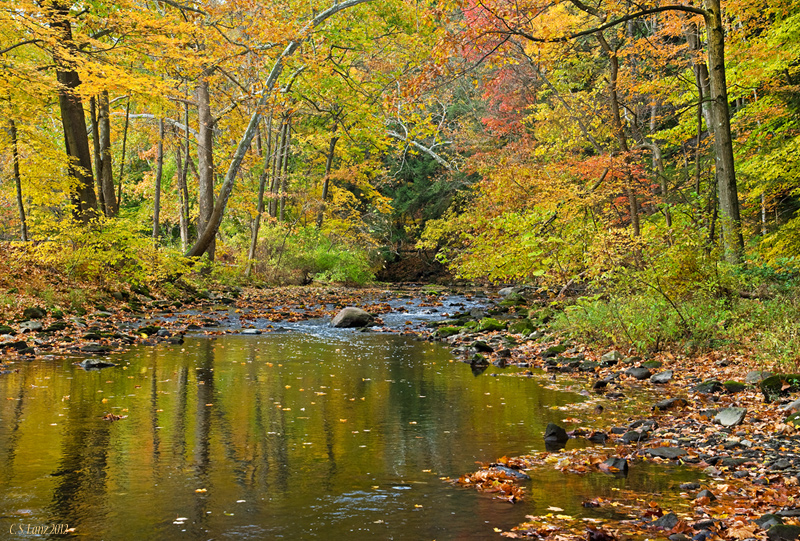 Mill Creek