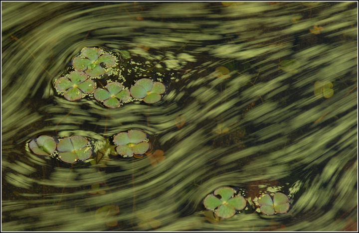 Green Flow