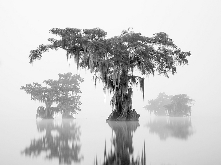 Gray Morning