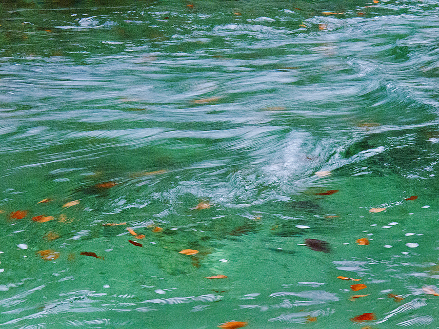 Floating Leaves