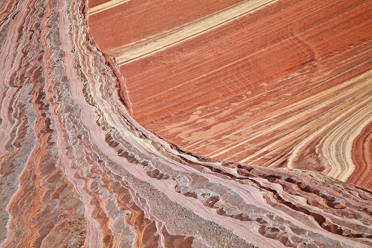 Layers & Lines w/Repost