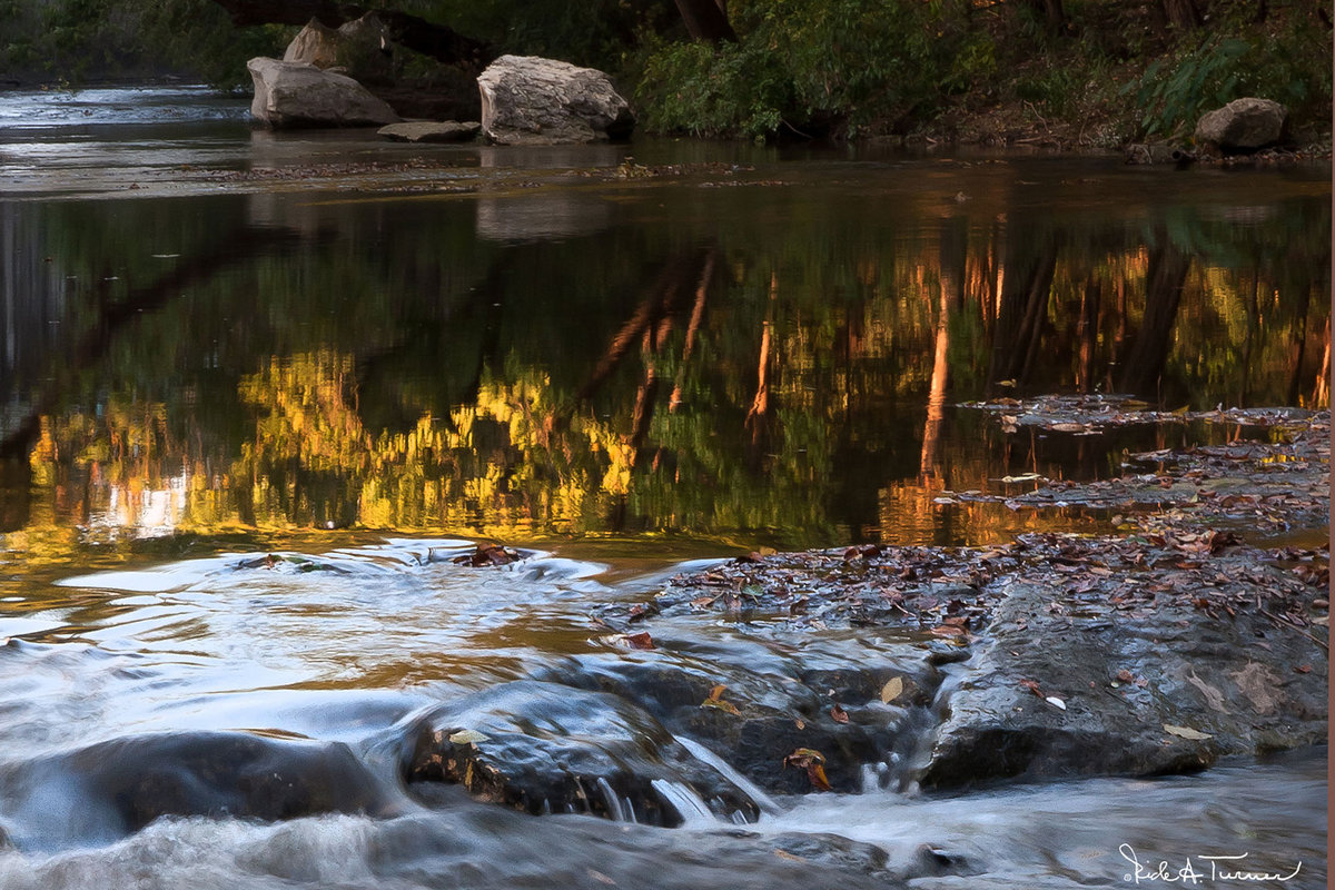 Fall on Turtle Creek
