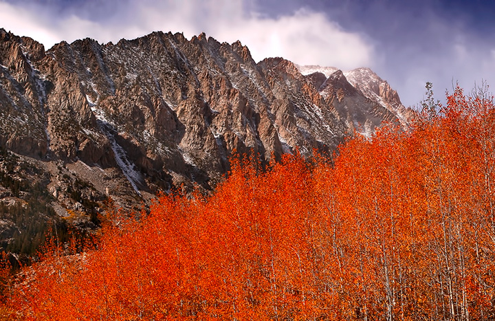 Fall in Eastern Sierra