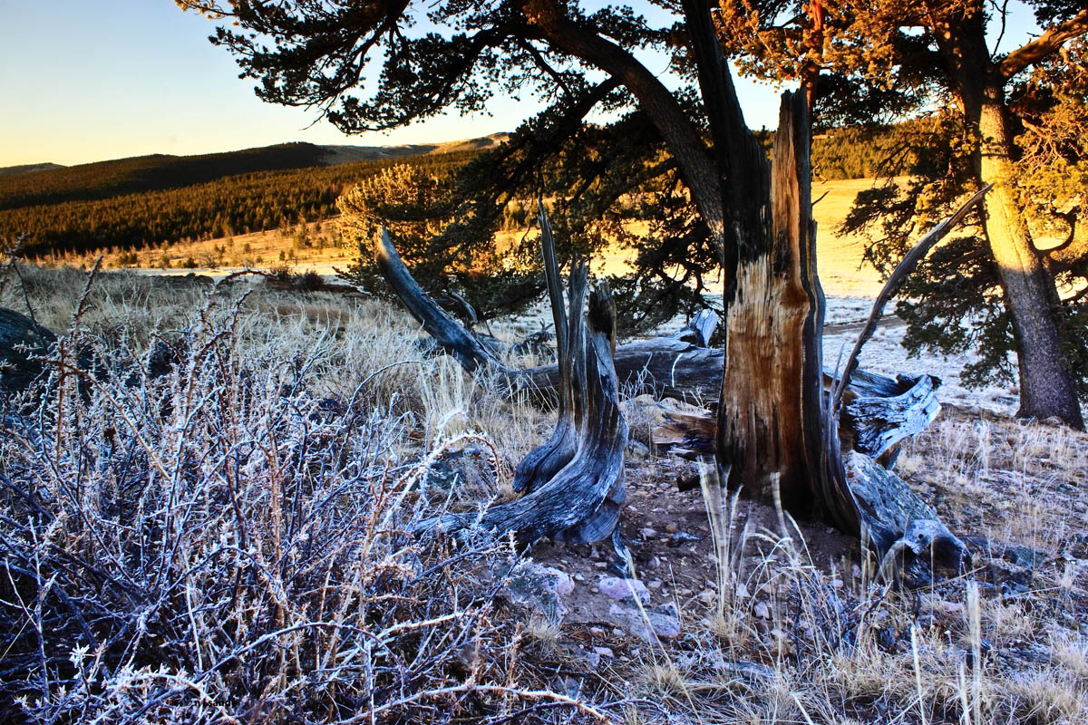 Cold Morning/Warm Light