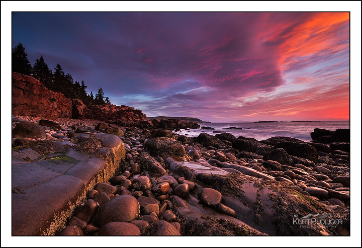 Wild Acadia