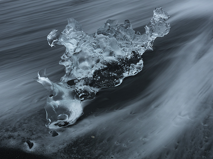 Ice Dragon