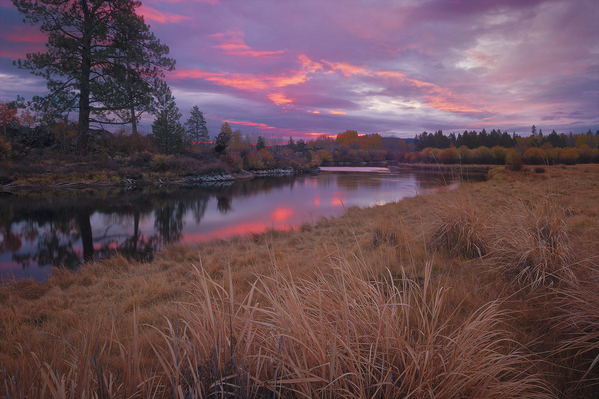 Deschute's Blush