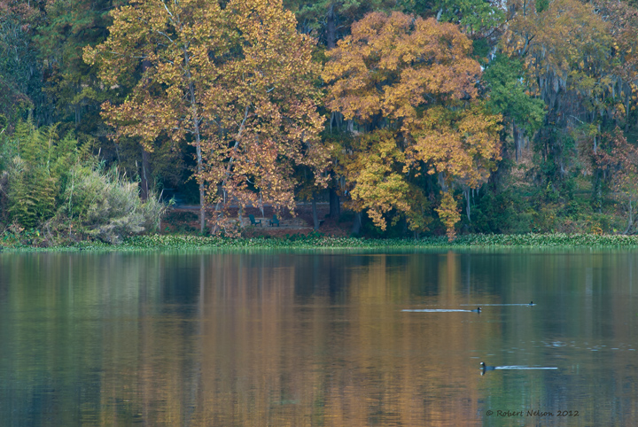 Lake Olmstead