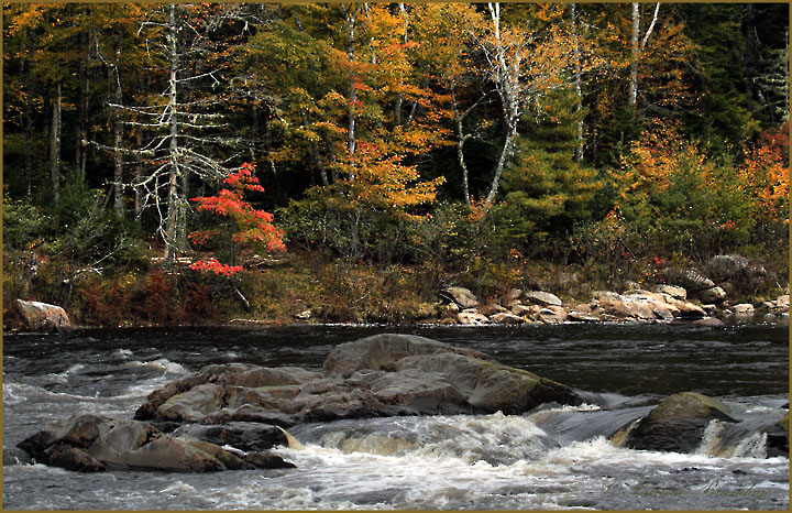 Fall Scenic