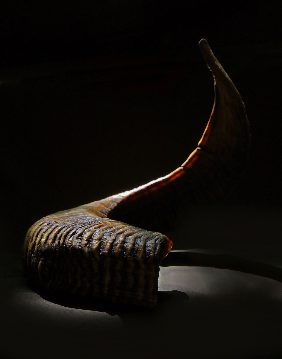 Big Horn