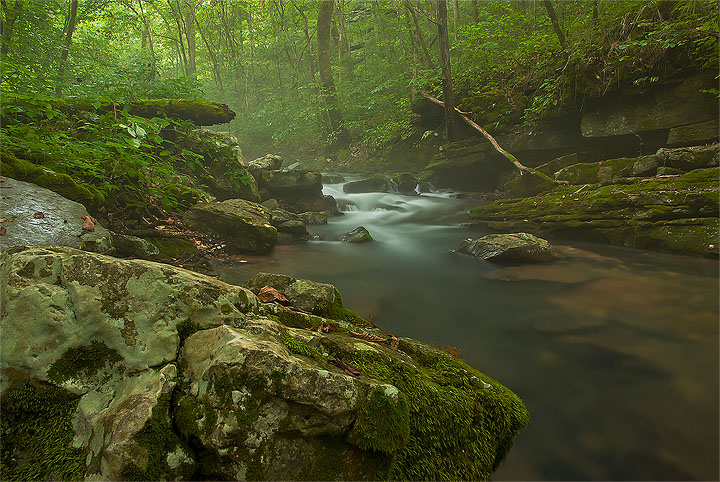 Blanchard Spring Creek
