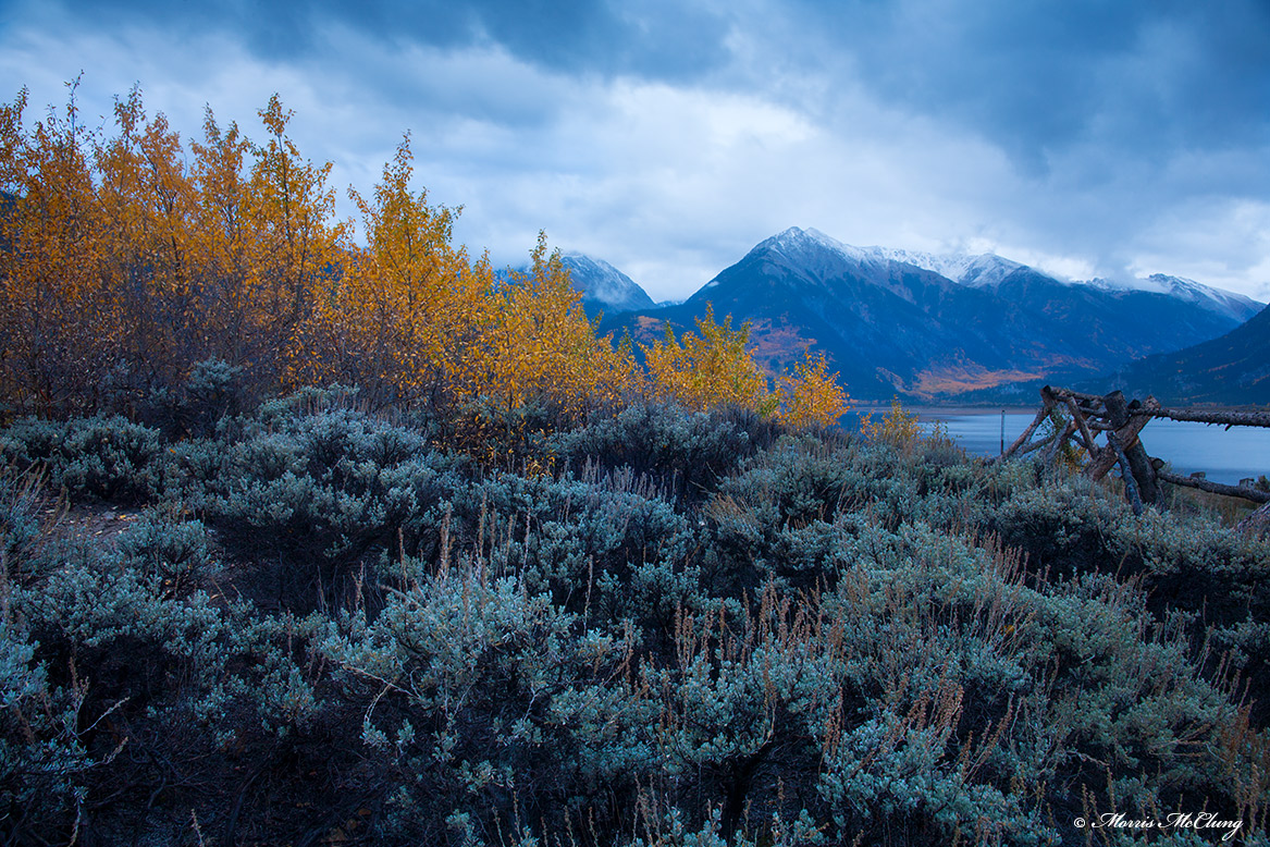 A sage-blue morning