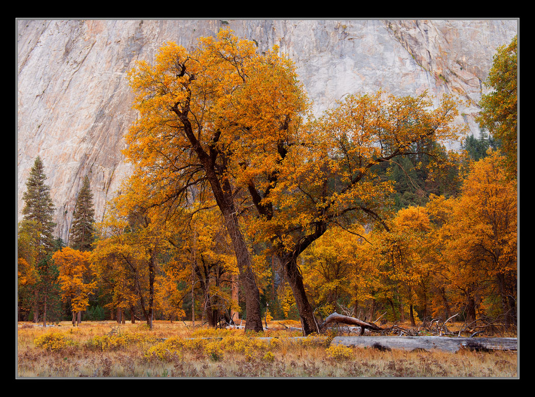 Autumn WarmtW Edits