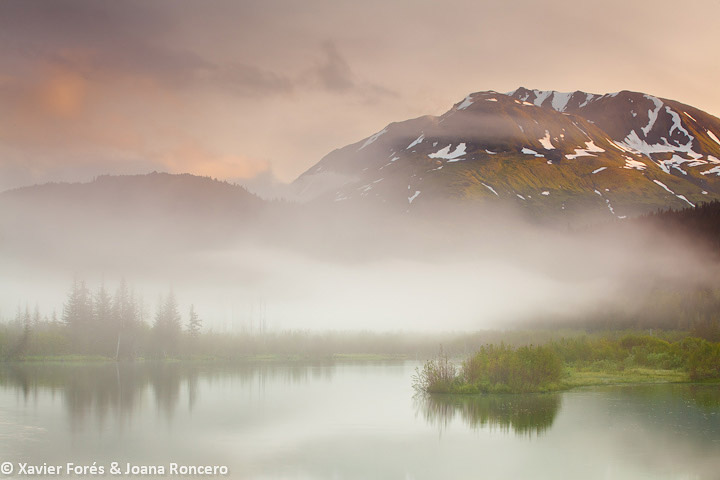 Kenai Fjords N.P. Alaska
