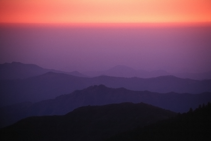 Sequoia Smog w/repost