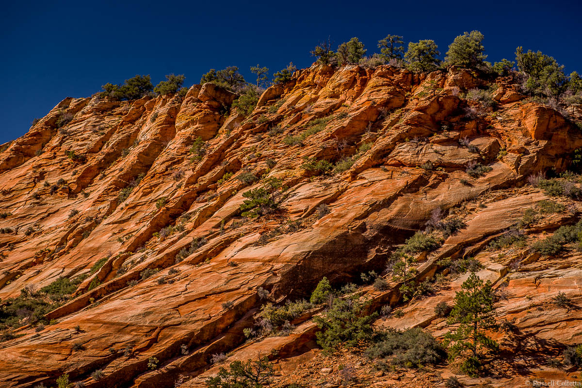 East Zion