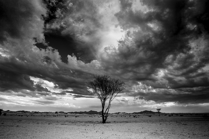 Cloudy Thoughts 