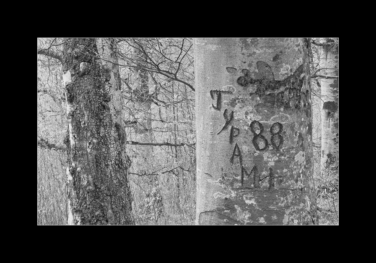 JYPAMH 88