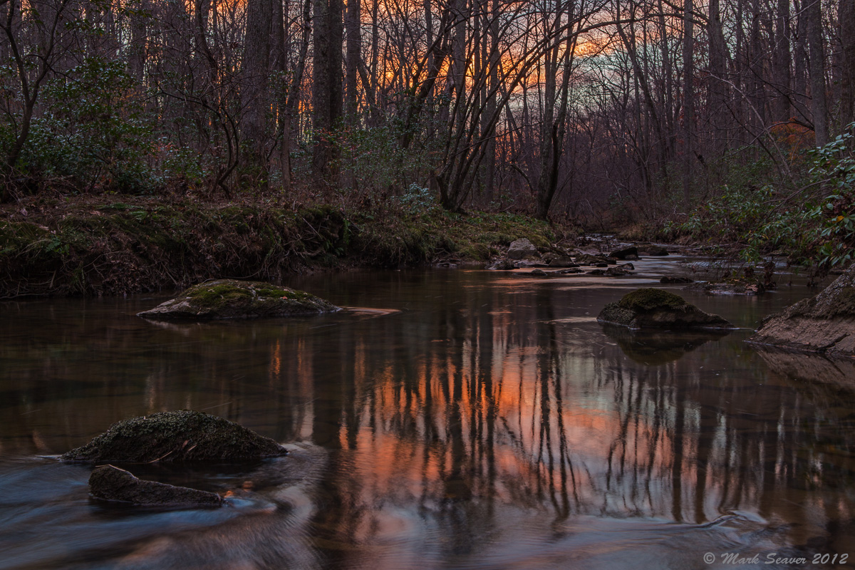 Forest Twilight + rpst