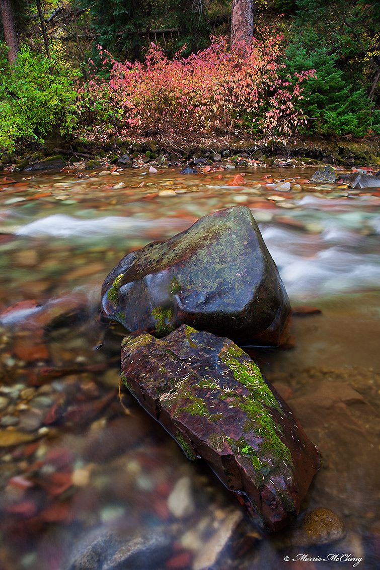 Streamside II