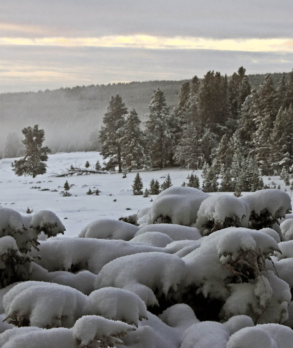 A Little Bit of Snow