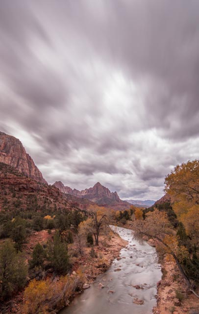 The Watchman